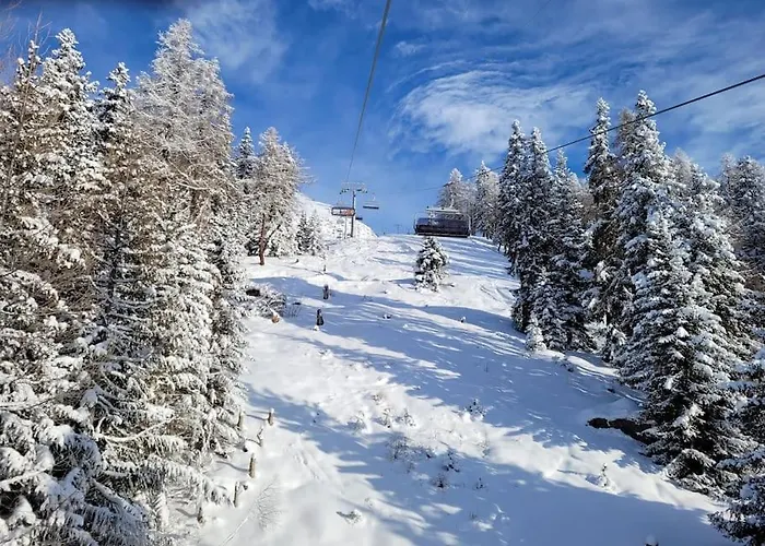 Aletsch Arena - 3,5 דירה *