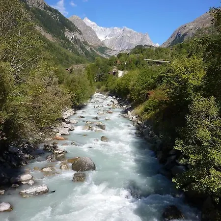 Aletsch Arena - 3,5 Appartement *